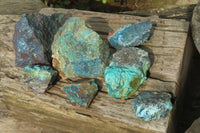 Natural Shattuckite Matrix Cobbed Specimens x 7 From Namibia