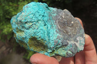 Natural Shattuckite Matrix Cobbed Specimens x 7 From Namibia