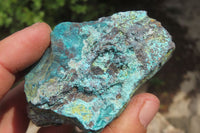 Natural Shattuckite Matrix Cobbed Specimens x 7 From Namibia