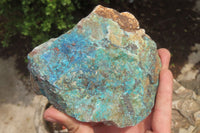 Natural Shattuckite Matrix Cobbed Specimens x 7 From Namibia