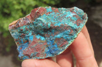 Natural Shattuckite Matrix Cobbed Specimens x 7 From Namibia