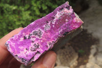 Natural Salrose Cobaltion Dolomite Specimens x 6 From Kakanda, Congo