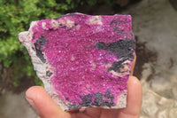 Natural Salrose Cobaltion Dolomite Specimens x 6 From Kakanda, Congo