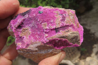 Natural Salrose Cobaltion Dolomite Specimens x 6 From Kakanda, Congo