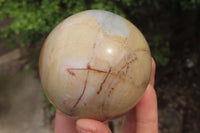 Polished Polychrome Jasper Spheres x 2 From Madagascar