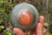 Polished Polychrome Jasper Spheres x 2 From Madagascar