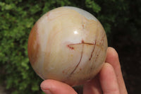 Polished Polychrome Jasper Spheres x 2 From Madagascar