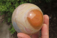 Polished Polychrome Jasper Spheres x 2 From Madagascar