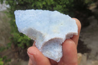 Natural Etched Blue Chalcedony Specimens x 36 From Nsanje, Malawi