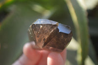 Natural Smokey Quartz Crystals x 20 From Zomba, Malawi