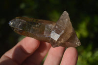 Natural Smokey Quartz Crystals x 20 From Zomba, Malawi