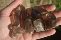 Natural Smokey Quartz Crystals x 20 From Zomba, Malawi