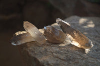 Natural Smokey Quartz Crystals x 20 From Zomba, Malawi