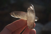 Natural Smokey Quartz Crystals x 20 From Zomba, Malawi