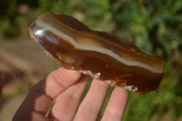 Polished On One Side River Agate Nodules x 6 From Zimbabwe