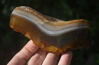 Polished On One Side River Agate Nodules x 6 From Zimbabwe