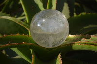 Polished Clear Quartz Crystal Balls x 2 From Madagascar