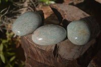 Polished Amazonite Palm Stones x 12 From Zimbabwe