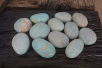 Polished Amazonite Palm Stones x 12 From Zimbabwe