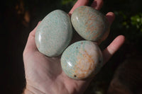 Polished Amazonite Palm Stones x 12 From Zimbabwe