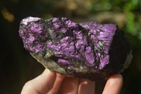 Natural Metallic Purpurite Cobbed Specimens x 6 From Erongo, Namibia