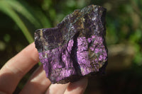 Natural Metallic Purpurite Cobbed Specimens x 6 From Erongo, Namibia