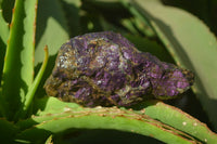 Natural Metallic Purpurite Cobbed Specimens x 6 From Erongo, Namibia