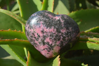 Polished Rhodonite Gemstone Hearts x 3 From Madagascar