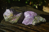 Natural Stichtite Cobbed Specimens x 12 From Barberton, South Africa