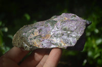 Natural Stichtite Cobbed Specimens x 12 From Barberton, South Africa