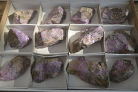 Natural Stichtite Cobbed Specimens x 12 From Barberton, South Africa