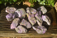 Natural Stichtite Cobbed Specimens x 12 From Barberton, South Africa