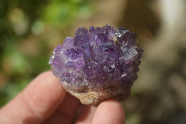 Natural Zululand Amethyst Agate Plate Specimens x 24 From South Africa