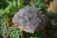 Natural Zululand Amethyst Agate Plate Specimens x 24 From South Africa