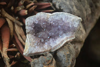 Natural Zululand Amethyst Agate Plate Specimens x 24 From South Africa