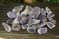 Natural Zululand Amethyst Agate Plate Specimens x 24 From South Africa