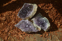 Natural Zululand Amethyst Agate Plate Specimens x 24 From South Africa