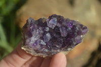 Natural Zululand Amethyst Agate Plate Specimens x 24 From South Africa