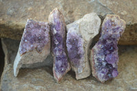 Natural Zululand Amethyst Agate Plate Specimens x 24 From South Africa