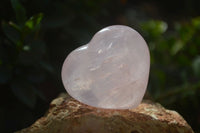 Polished Rose Quartz Gemstone Hearts x 12 From Madagascar