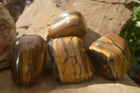 Polished Tigers Eye Free Forms x 4 From South Africa