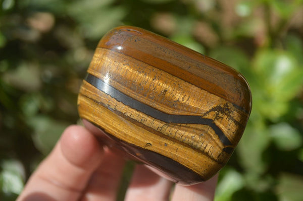 Polished Tigers Eye Free Forms x 4 From South Africa