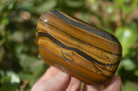 Polished Tigers Eye Free Forms x 4 From South Africa