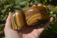 Polished Tigers Eye Free Forms x 4 From South Africa