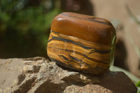 Polished Tigers Eye Free Forms x 4 From South Africa