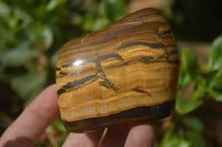 Polished Tigers Eye Free Forms x 4 From South Africa