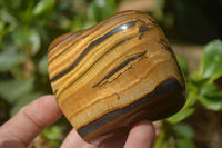 Polished Tigers Eye Free Forms x 4 From South Africa