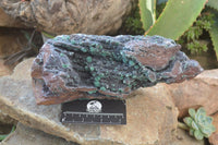 Natural Ball Malachite On Quartz Matrix Specimen x 1 From Kambove, Congo