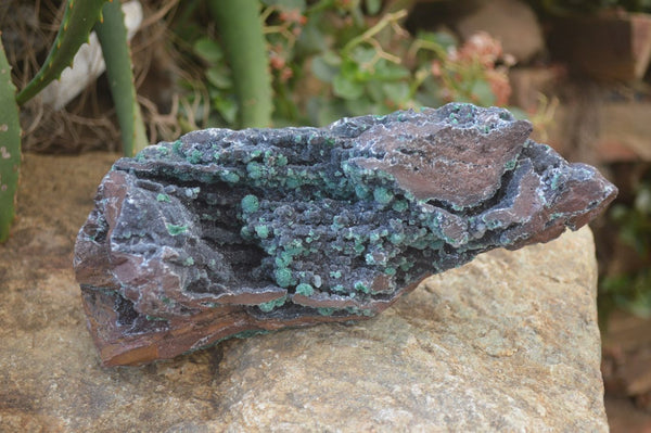 Natural Ball Malachite On Quartz Matrix Specimen x 1 From Kambove, Congo