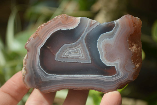 Polished On One Side Red Sashe River Agate Nodules x 6 From Zimbabwe